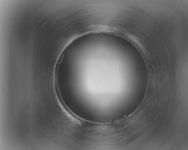 X0000071911479200607141347