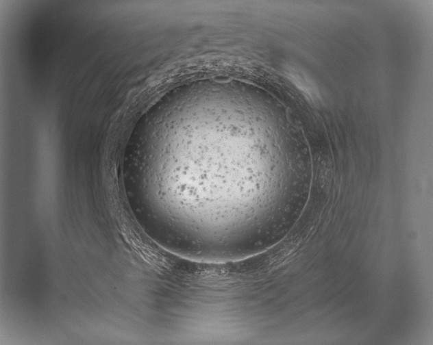 X0000071911489200607141346