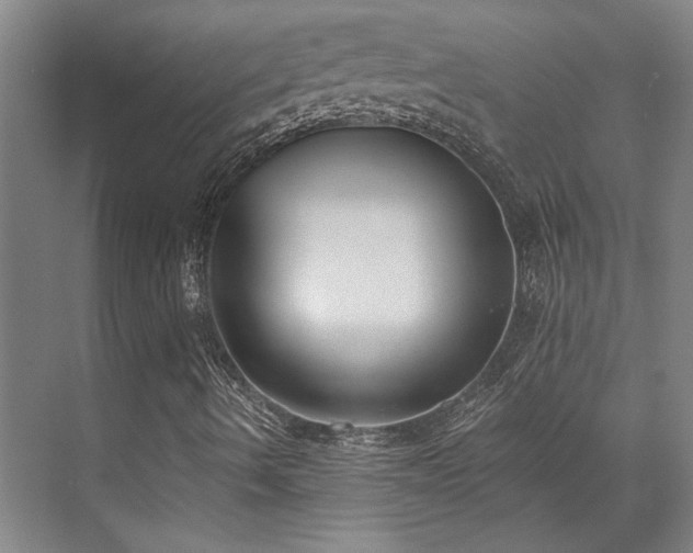 X0000071911490200607141346