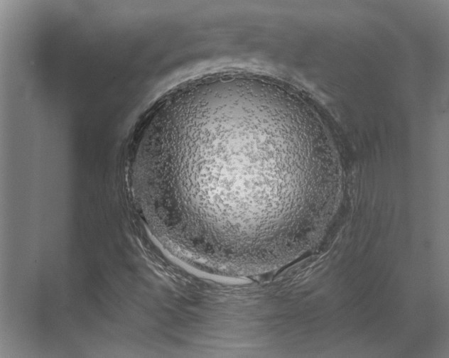 X0000071911496200607141346