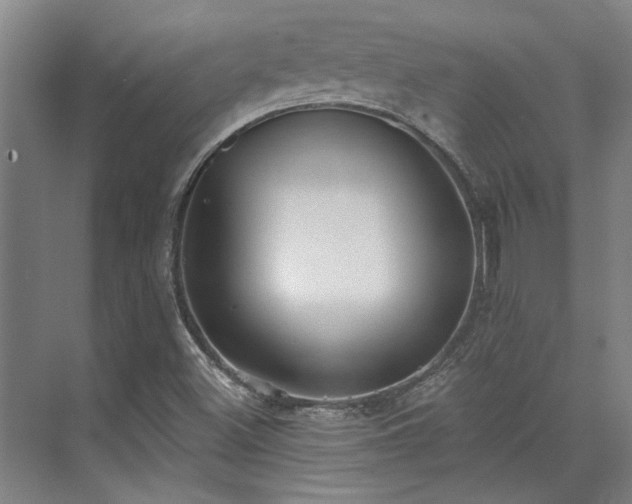 X0000071911500200607141346