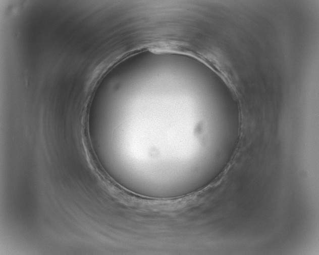 X0000071910001200607212054