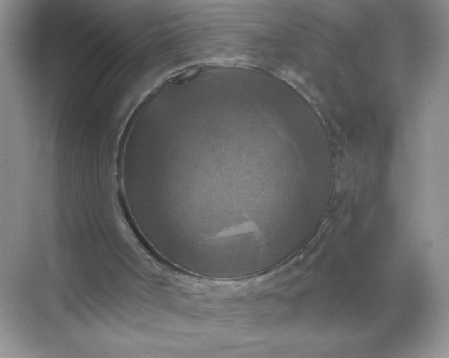 X0000071910002200607212054