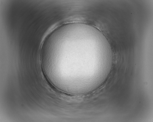 X0000071910004200607212054