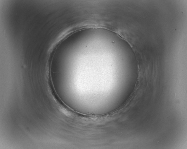 X0000071910005200607212054