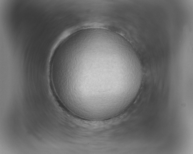 X0000071910006200607212054