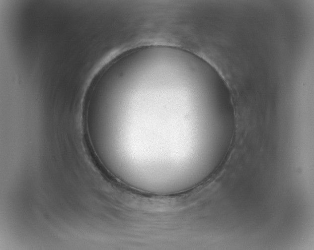 X0000071910008200607212054