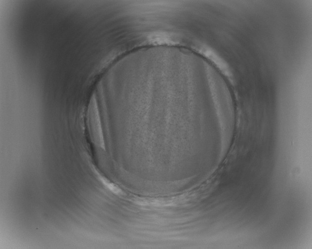 X0000071910009200607212054