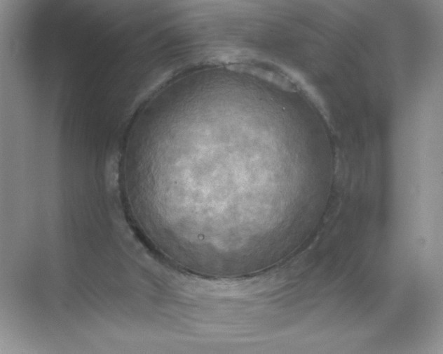 X0000071910010200607212054