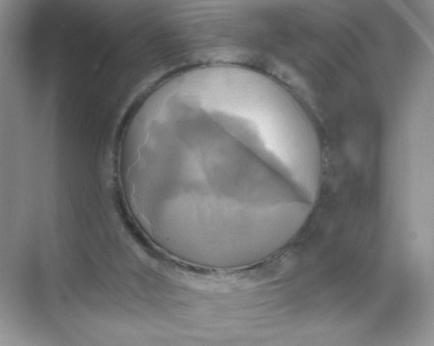 X0000071910012200607212054