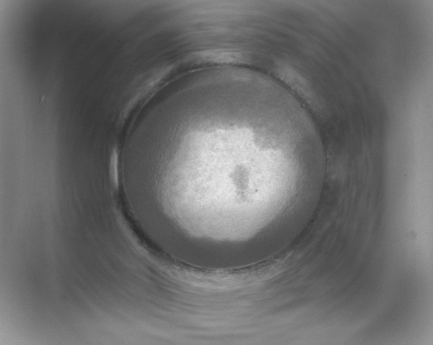 X0000071910014200607212054