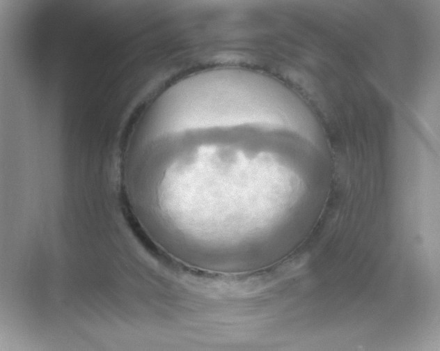 X0000071910016200607212054