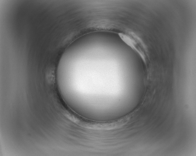 X0000071910017200607212054