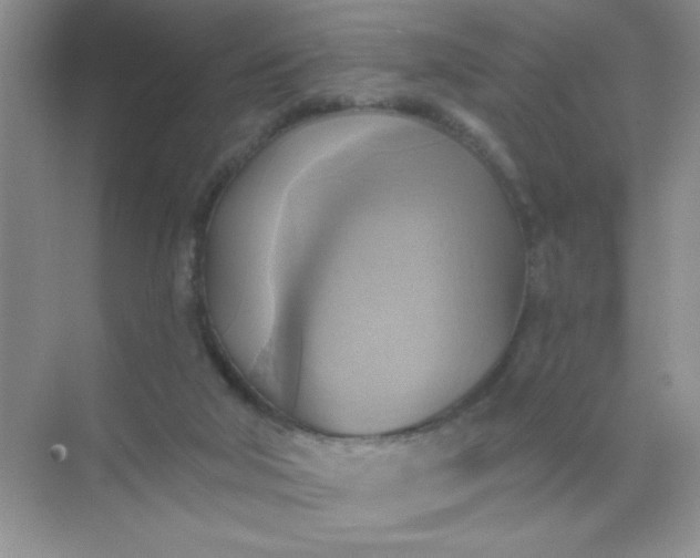 X0000071910018200607212054