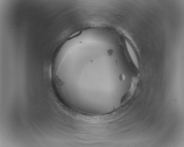 X0000071910019200607212054