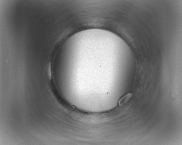 X0000071910020200607212054