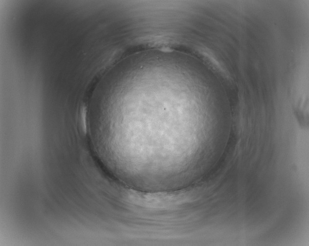 X0000071910022200607212054