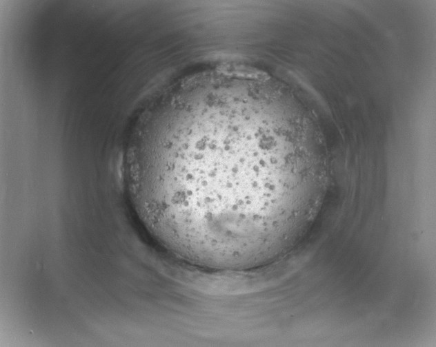 X0000071910024200607212054