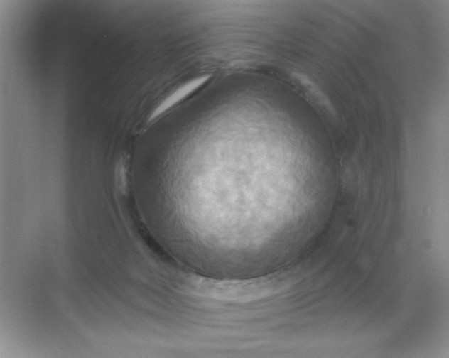 X0000071910026200607212054