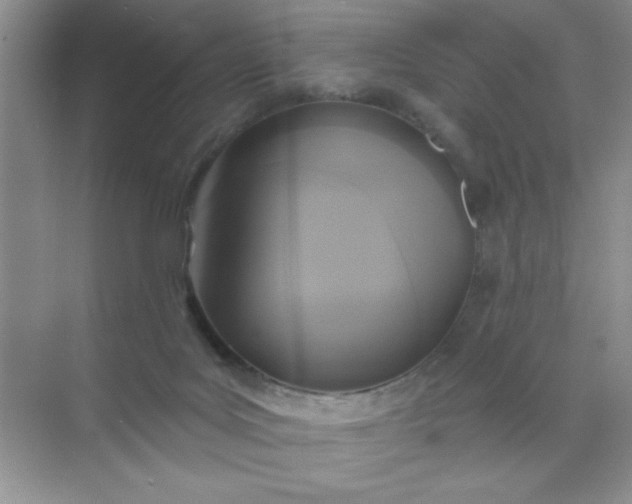 X0000071910027200607212054