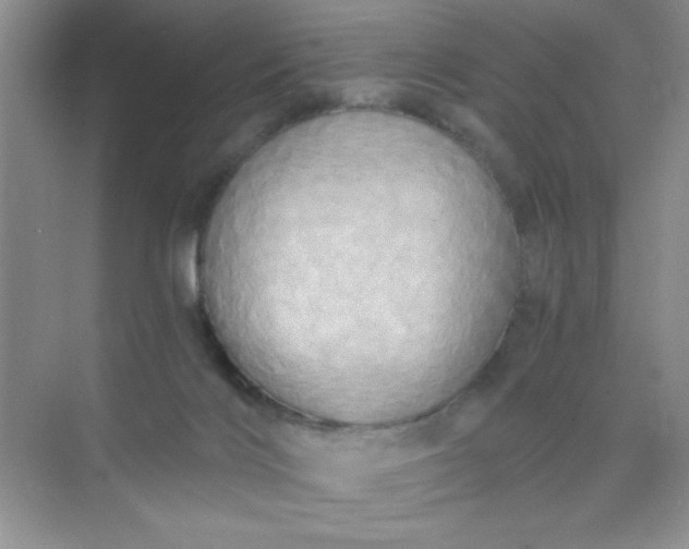 X0000071910028200607212054