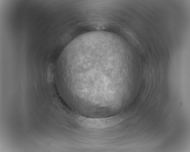 X0000071910030200607212054