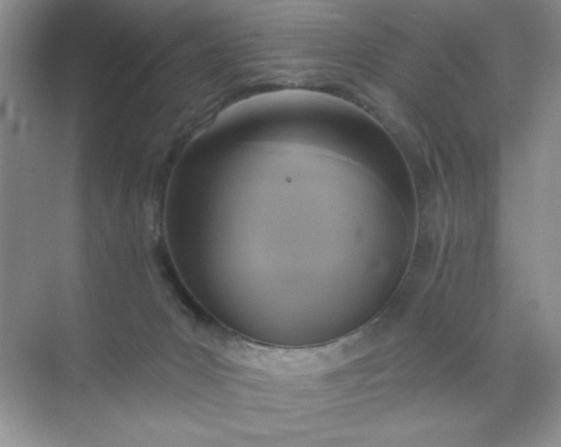 X0000071910031200607212054