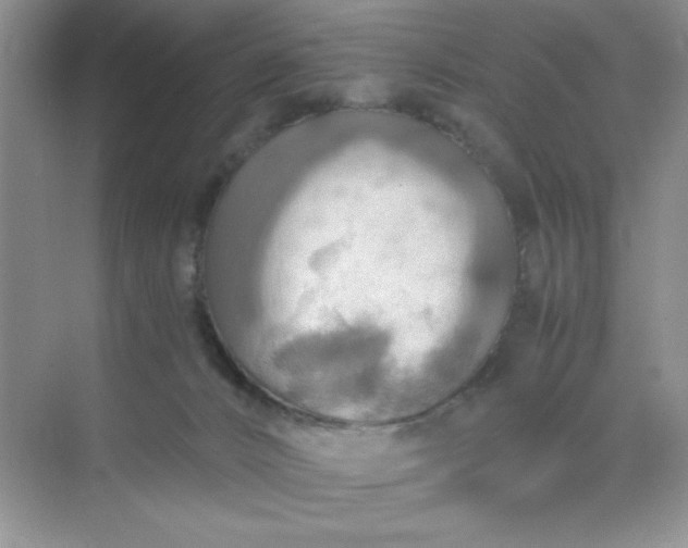 X0000071910032200607212054