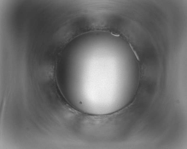 X0000071910033200607212054