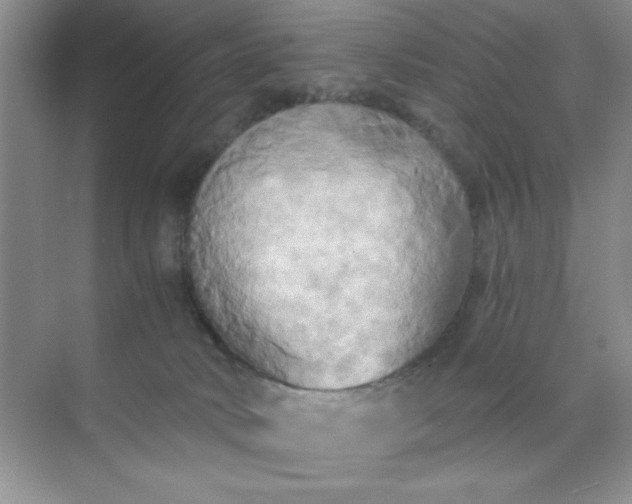 X0000071910034200607212054