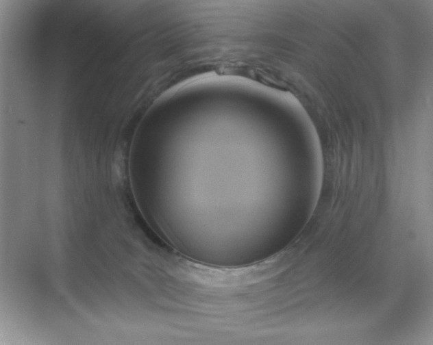 X0000071910035200607212054