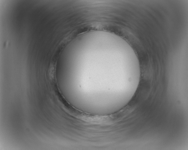 X0000071910036200607212054