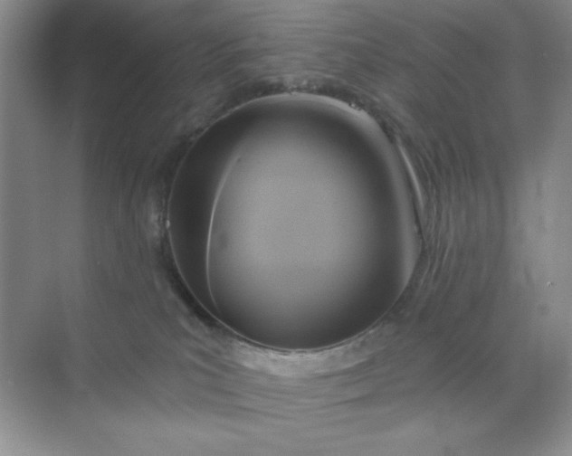 X0000071910039200607212054