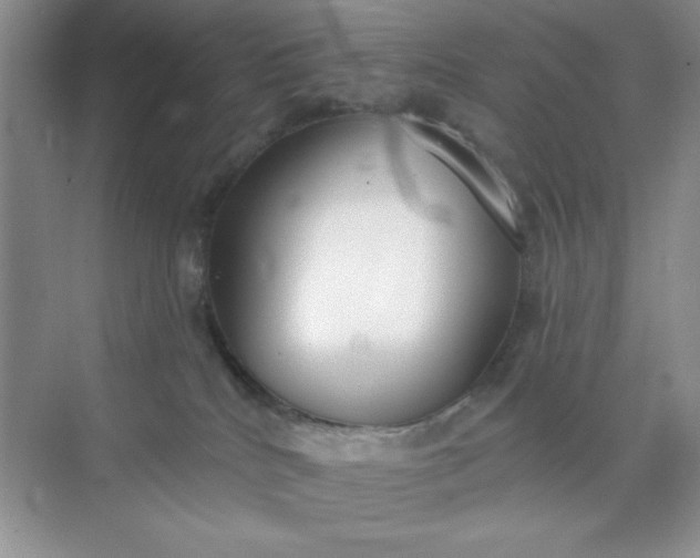 X0000071910040200607212053