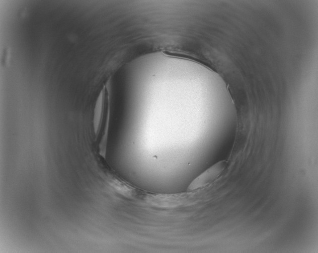 X0000071910041200607212053