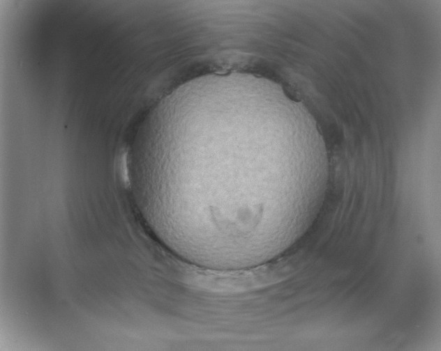 X0000071910042200607212053