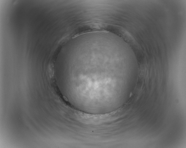 X0000071910043200607212053