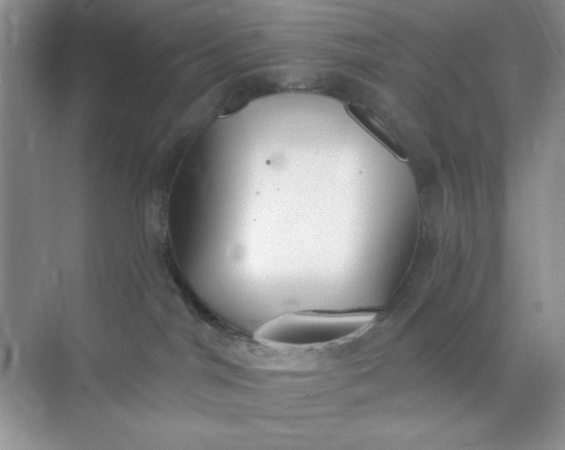 X0000071910044200607212053