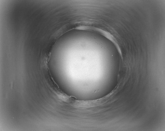 X0000071910045200607212053