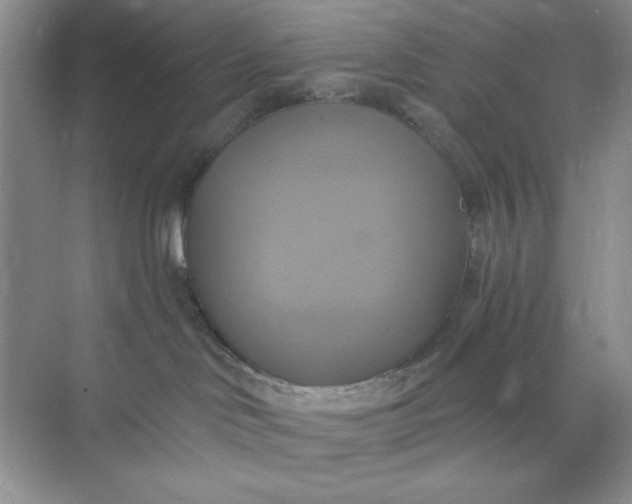 X0000071910046200607212053