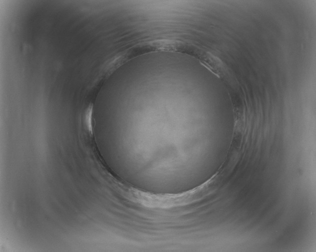 X0000071910047200607212053