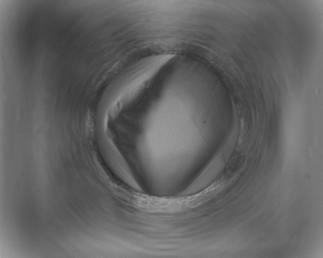 X0000071910048200607212053