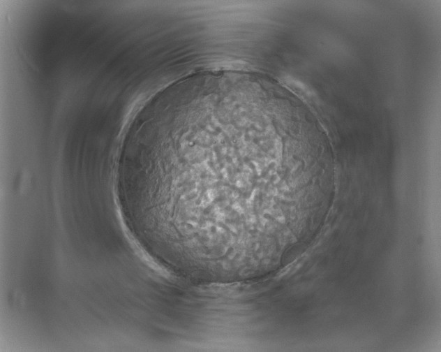 X0000071910049200607212053