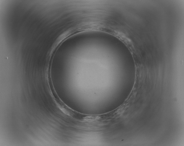 X0000071910051200607212053