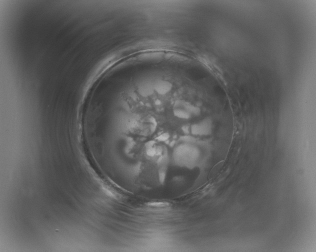 X0000071910053200607212053