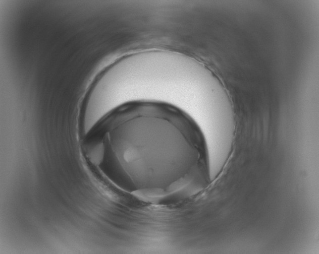 X0000071910054200607212053