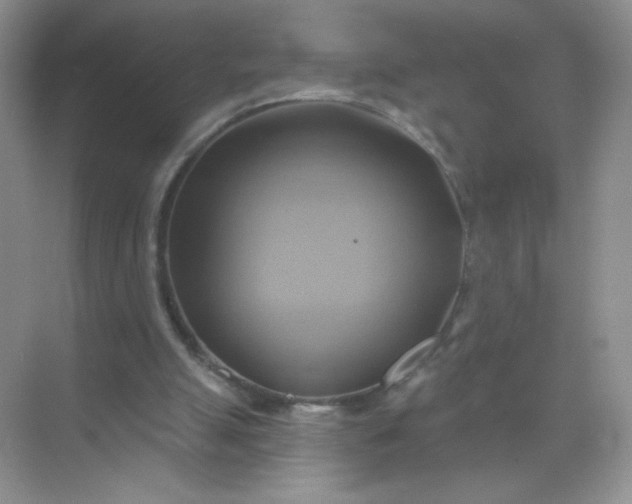 X0000071910055200607212053