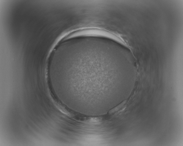 X0000071910056200607212053