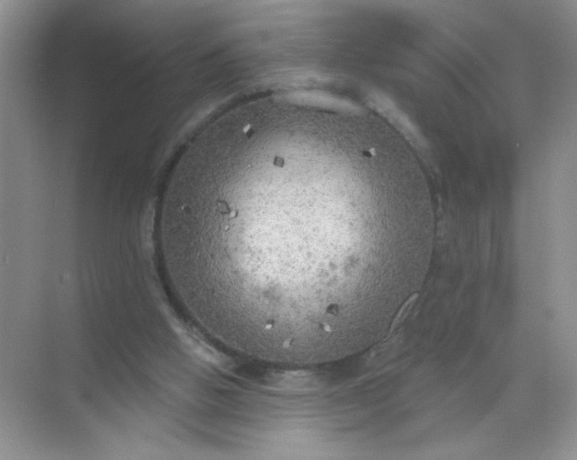 X0000071910058200607212053