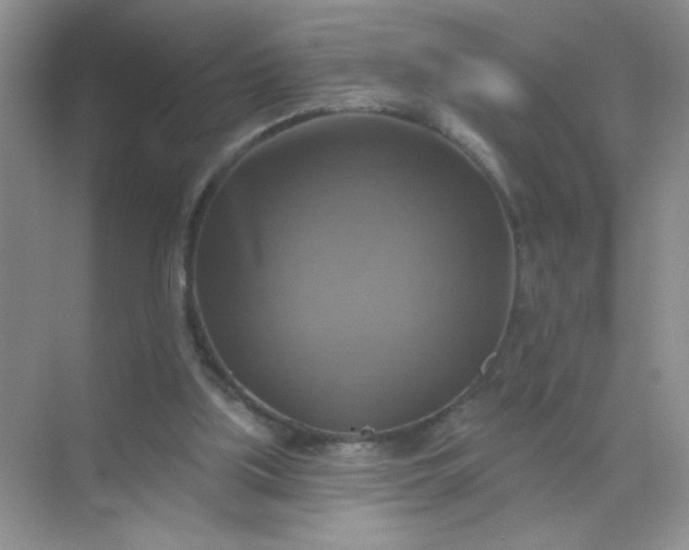 X0000071910059200607212053